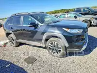 2019 Toyota RAV4 фото