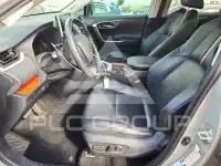 2019 Toyota RAV4 фото