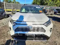 2019 Toyota RAV4 фото