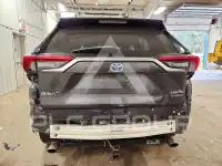 2019 Toyota RAV4 фото