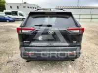 2019 Toyota RAV4 photo