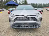 2019 Toyota RAV4 фото