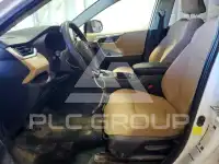 2019 Toyota RAV4 фото