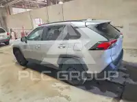 2019 Toyota RAV4 photo