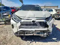 2019 Toyota RAV4 фото