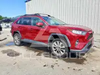 2019 Toyota RAV4 photo