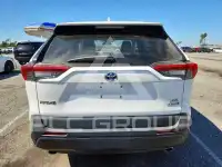 2019 Toyota RAV4 photo