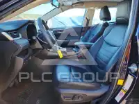 2019 Toyota RAV4 photo