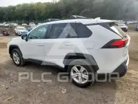 2019 Toyota RAV4 фото