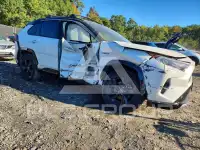 2019 Toyota RAV4 фото