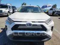 2019 Toyota RAV4 photo