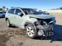 2019 Toyota RAV4 photo