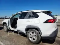 2019 Toyota RAV4 photo