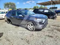 2019 Toyota RAV4 photo