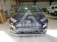 2019 Toyota RAV4 photo