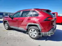2019 Toyota RAV4 фото