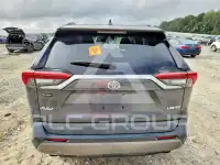 2019 Toyota RAV4 фото