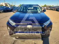 2019 Toyota RAV4 photo