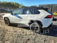 2019 Toyota RAV4 фото