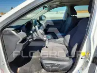 2019 Toyota RAV4 photo