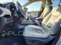 2019 Toyota RAV4 фото