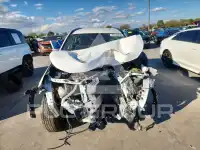 2019 Toyota RAV4 photo