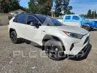 2019 Toyota RAV4 фото