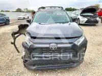 2019 Toyota RAV4 photo