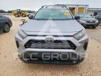 2019 Toyota RAV4 photo