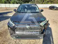 2019 Toyota RAV4 photo