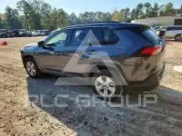 2019 Toyota RAV4 photo