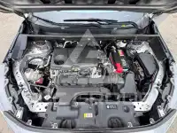2019 Toyota RAV4 photo