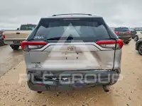 2019 Toyota RAV4 photo