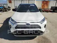 2019 Toyota RAV4 фото