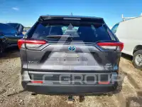 2019 Toyota RAV4 фото
