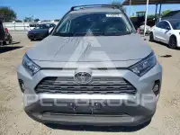 2019 Toyota RAV4 фото