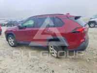 2019 Toyota RAV4 фото