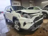 2019 Toyota RAV4 фото
