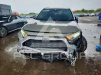 2019 Toyota RAV4 фото