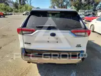 2019 Toyota RAV4 фото