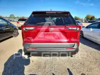 2019 Toyota RAV4 фото