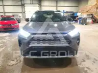 2019 Toyota RAV4 фото