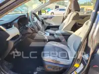 2019 Toyota RAV4 photo