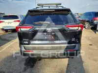 2019 Toyota RAV4 photo