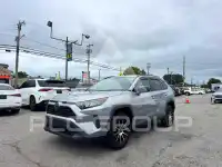 2019 Toyota RAV4 photo