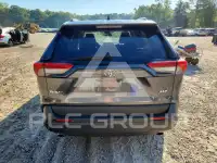 2019 Toyota RAV4 photo