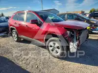 2019 Toyota RAV4 фото