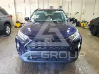 2019 Toyota RAV4 фото