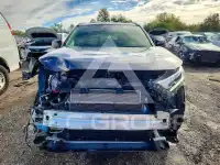2019 Toyota RAV4 фото