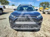 2019 Toyota RAV4 photo